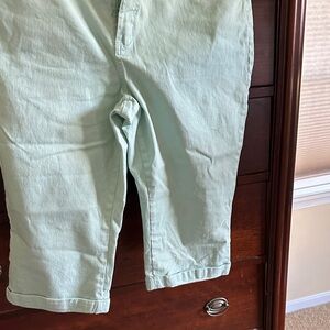 Light Green Cropped Pants